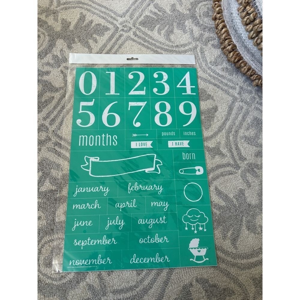 Chalk Couture Baby Milestone Reusable Silk Screen Transfer Stencil Teal Green